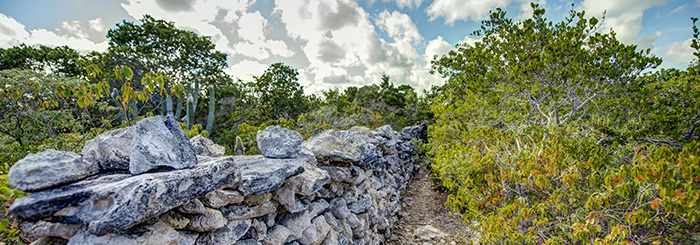 Haulover ruins